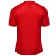 Maglia calcio Charlton Athletic Home 2017/18 - Hummel