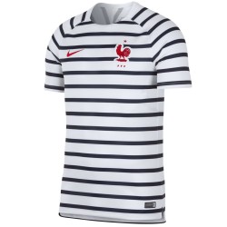 France pre-match training shirt World Cup - Nike
