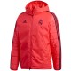 Real Madrid UCL technical padded jacke 2018/19 - Adidas