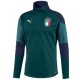 Italia chandal tecnico de entreno verde 2019 - Puma