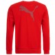 Felpa sweat rappresentanza nazionale Austria 2016 - Puma