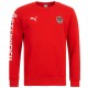 Sweat top de presentation Autriche 2016 - Puma