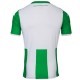 Panathinaikos Athens Home Football shirt 2019/20 - Kappa