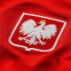 Poland football training technical sweatshirt 2020/21 - Nike