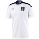 Maglia calcio Nazionale Serbia Away 2021/22 - Puma
