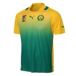 Cameroon National Soccer Jersey Away 2012/13 Pumas