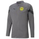 BVB Borussia Dortmund bench players Trainingsanzug 2022/23 grau - Puma