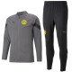 BVB Borussia Dortmund bench players Trainingsanzug 2022/23 grau - Puma