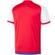 Camiseta fútbol seleccion Paraguay Home 2015/16 - Adidas