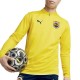 Fenerbahce SK tech trainingssweat 2024 - Puma