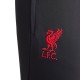 Tuta tecnica grigia da allenamento Liverpool 2024/25 - Nike