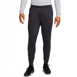 Liverpool FC training technical pants 2024/25 - Nike