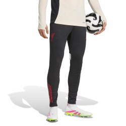 Liverpool FC training technical pants 2025/26 - Adidas