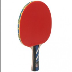 Tenis raqueta CarboTech Stiga Wrb