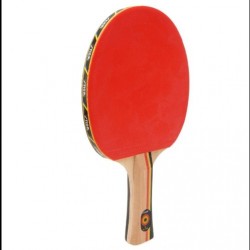 Tenis raqueta Stiga JM Saive espíritu