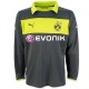 Borussia Dortmund goalkeeper Jersey Home 2012/13-Puma