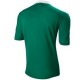 Maillot de foot de l'Irlande du Nord Accueil Adidas 2012/14
