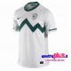 Maglia Nazionale Calcio Slovenia Home 2010/12 by Nike
