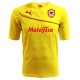 Cardiff City Fußball Trikot Away 2013/14-Puma