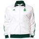 Chaqueta de representación eje 2011/12 Saint Etienne-Adidas