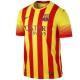 FC Barcelona Weg Fußball Trikot 2013/14-Nike