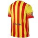 FC Barcelona Weg Fußball Trikot 2013/14-Nike