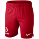 Poland national football team Home shorts 2012/13 - Nike