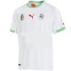 Czech Republic Away soccer jersey 2014/15 - Puma