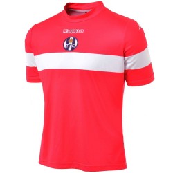 Camiseta de futbol FC Toulouse tercera 2013/14 sin sponsor - Kappa