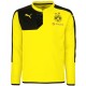 BVB Borussia Dortmund Trainingsset 2015/16 gelb - Puma