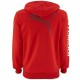 Österreich national team Präsentation hoody 2016 - Puma