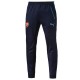 Arsenal FC training tracksuit 2016 - Puma