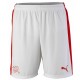 Completo de futbol seleccion Suiza primera 2016/17 - Puma