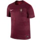 Maglia pre-match allenamento Nazionale Portogallo 2016/17 - Nike