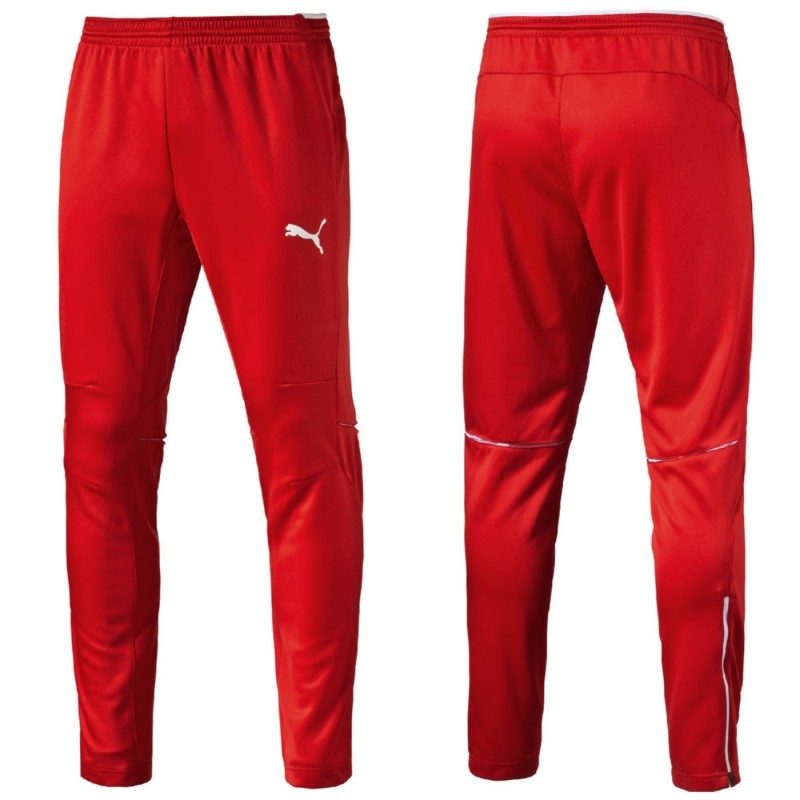 puma training suit