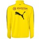 Felpa tecnica allenamento gialla Borussia Dortmund 2016/17 - Puma