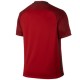 Maillot de foot Portugal domicile 2016/17 - Nike