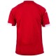 Maglia da calcio Energie Cottbus Home 2013/14 - Saller