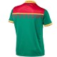 Maillot de foot Cameroun domicile 2017/18 - Puma
