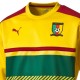 Sweat top d'entrainement Cameroun 2017/18 - Puma