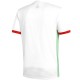 Maillot de foot Algerie domicile 2018/19 - Adidas