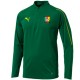 Cameroon football technical training sweatshirt 2018/19 - Puma